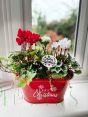 Red Merry Christmas Planter