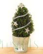 Festive Myrtle Pyramid