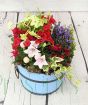 Colourful summer flowering barrel