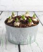 Hyacinths in a festive pot