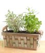 Basket of herbs