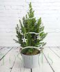 mini christmas tree with decorations in ribbed pail