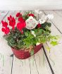 Festive red indoor planter with merry christmas pick