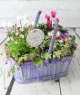 Mothers Day Planter