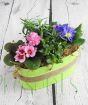 Indoor planter with spring plants
