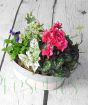 Vintage trough