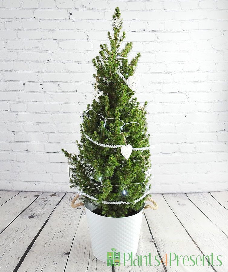 Decorated Slim Christmas Tree