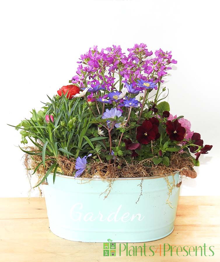Garden Planter
