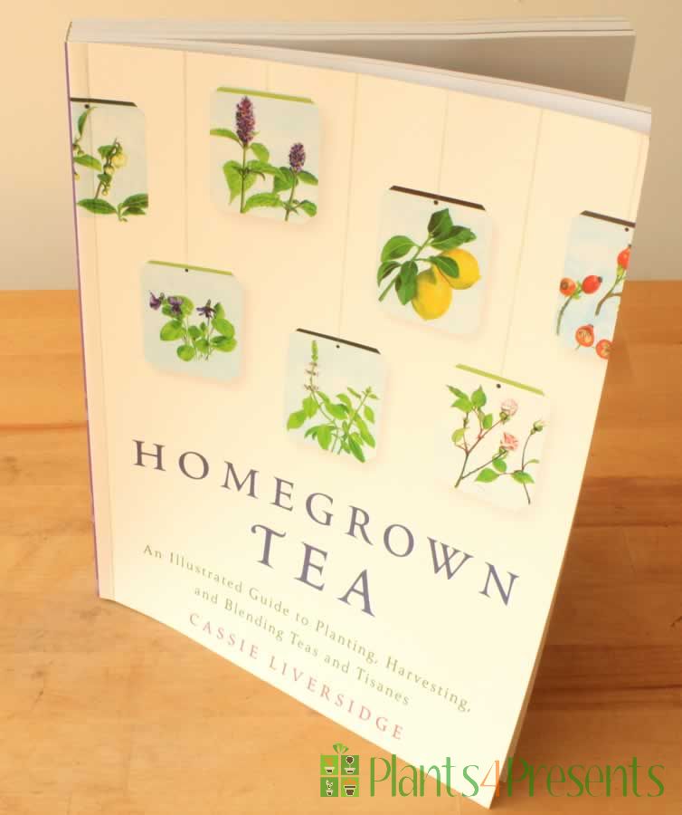 Book - GYO Tea