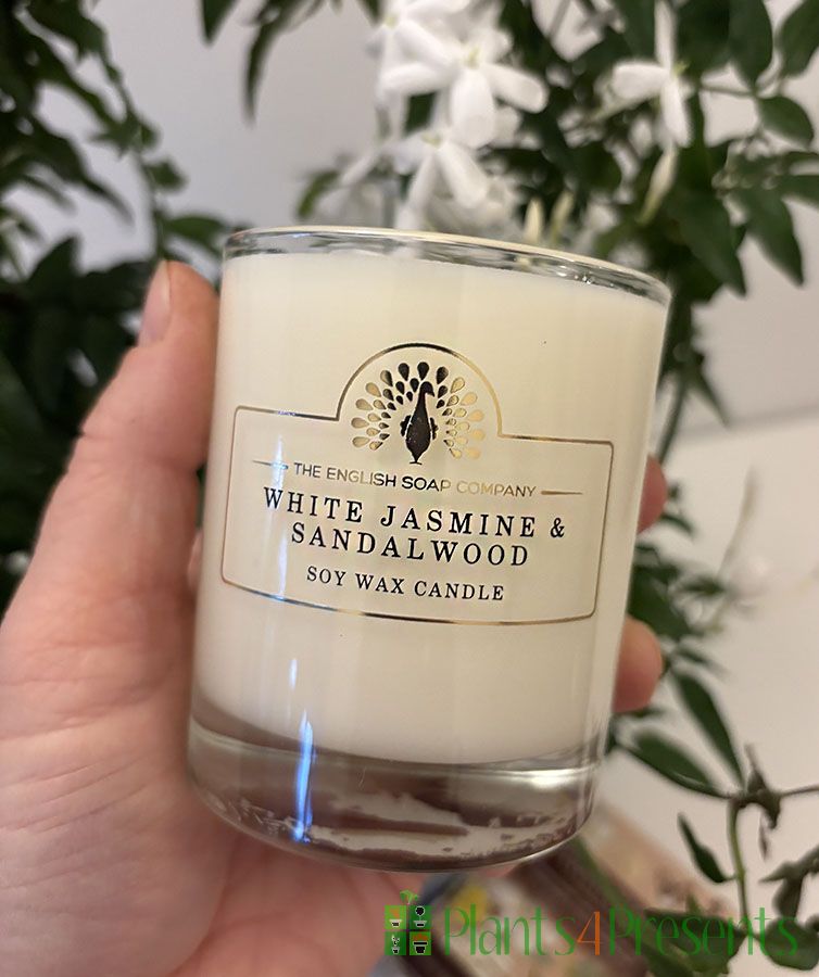 Jasmine and Sandalwood Candle