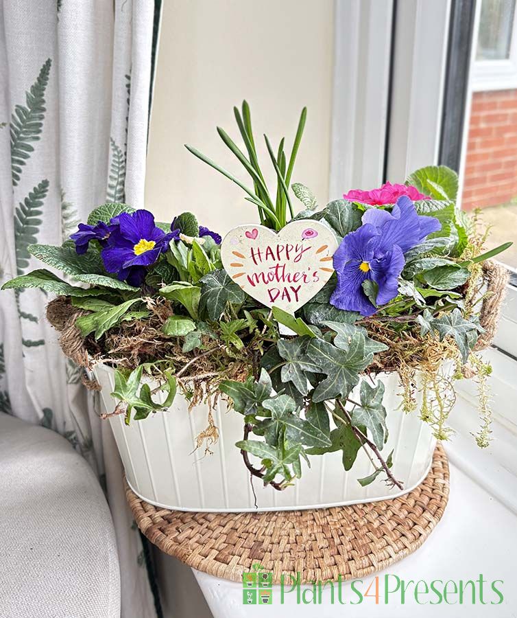 Mothers' Day Planter