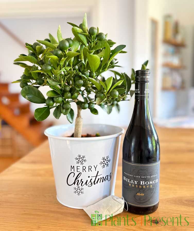 Mulled wine gift set