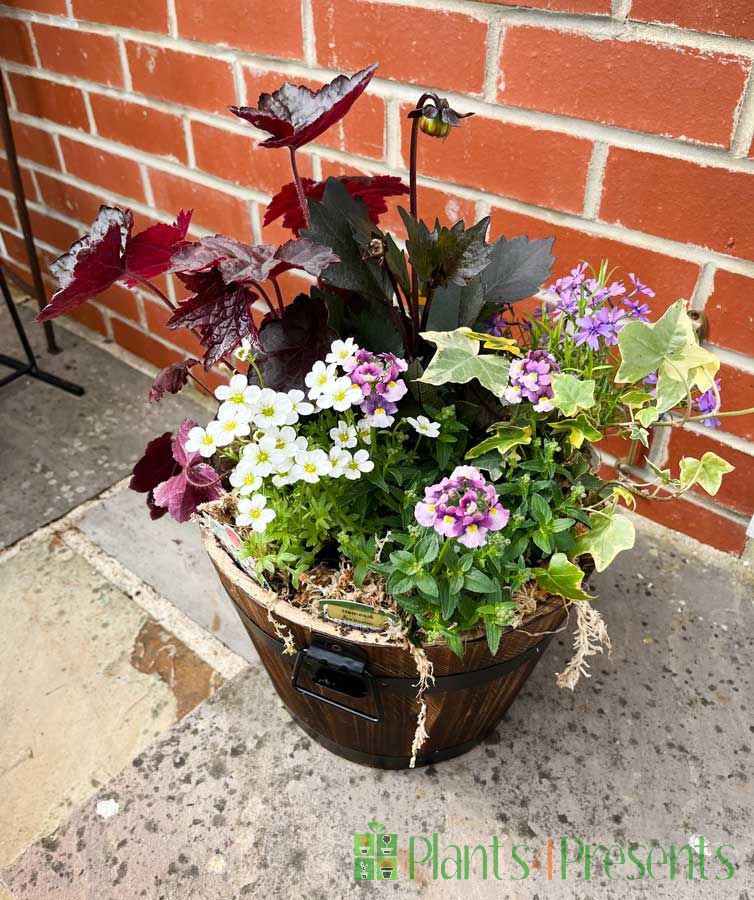 Barrel Planter 2025