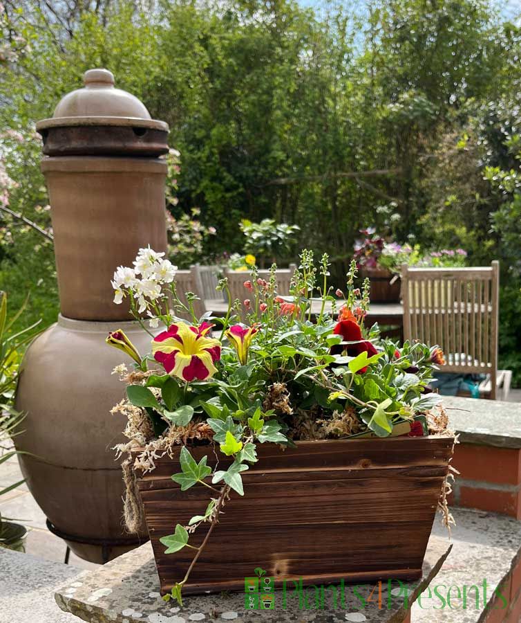 Spring planter