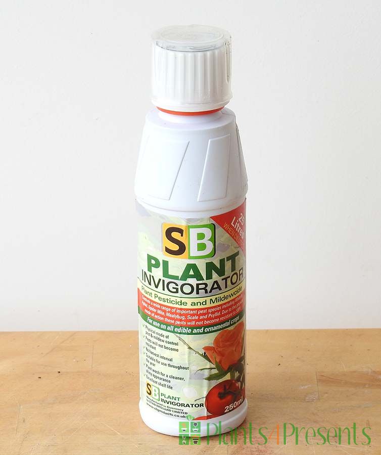 SB Plant Invigorator 250ml