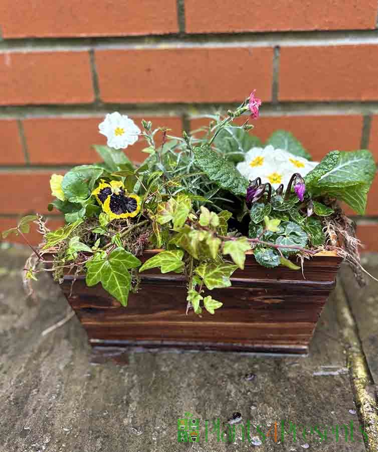 Spring Planter