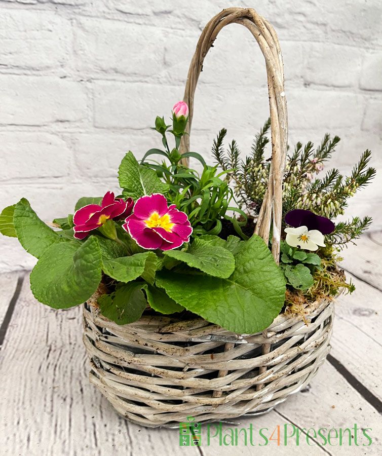 Spring Trug