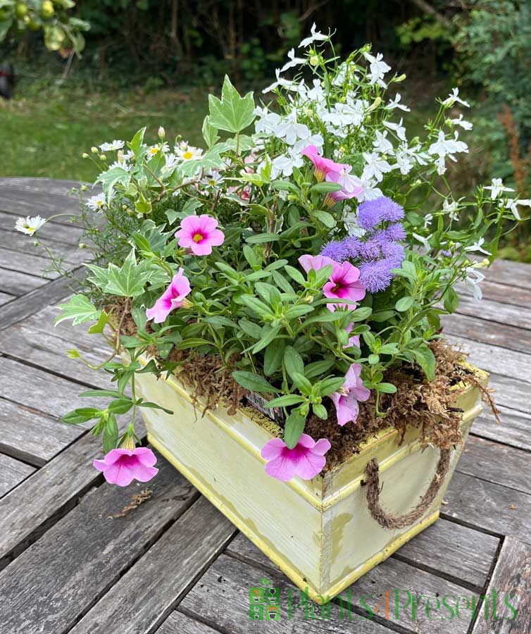Summer Planter pastels July 2025