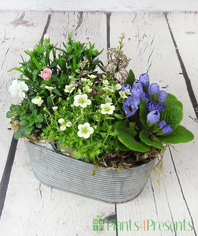 Vintage Trough