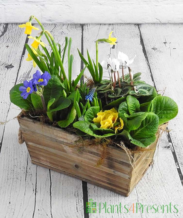 Spring planter