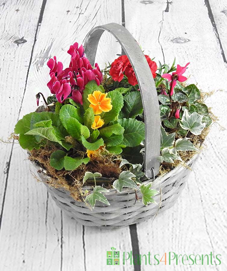 Winter trug