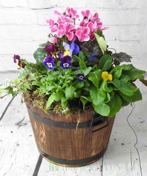 Barrel planter in Winter