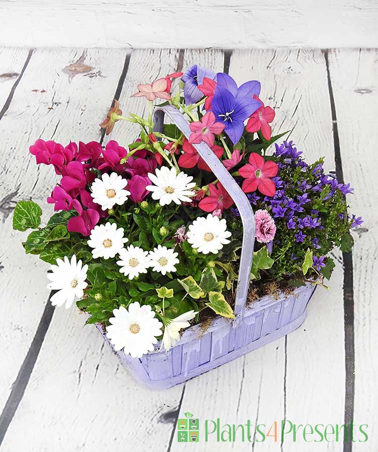 Summer basket arrangement