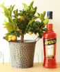 Aperol Gift Set