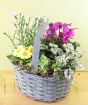 Planted trug