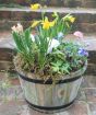 Barrel Planter