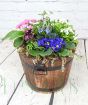 Barrel Planter           