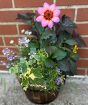 Barrel Planter           