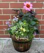 Barrel Planter           