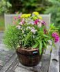 Barrel Planter           
