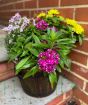 Barrel Planter           