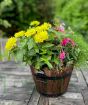 Summer Barrel Planter 2025