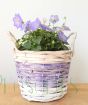 Blue Basket