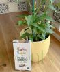 Father's Day Chilli Gift Set    