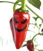 Halloween Chilli