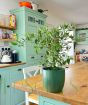 chilli in  real kitchen
