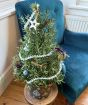 Xmas Rosemary