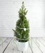 Decorated Slim Christmas Tree