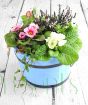 Colourful Barrel planter Spring