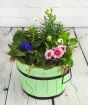 Flowering plants arrangement Gift