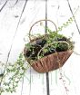 Cranberry plants in a banana leaf basket