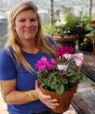 Cyclamen Patio Pot