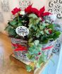Christmas Flowering Basket