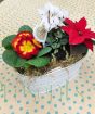 Christmas planter