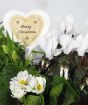 White Christmas Planter