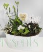 Indoor Christmas planter